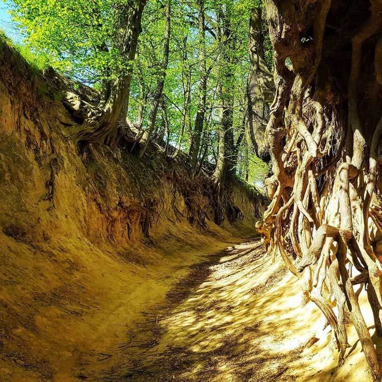 Осенний уик-энд в Польше Профрекрутингцентр